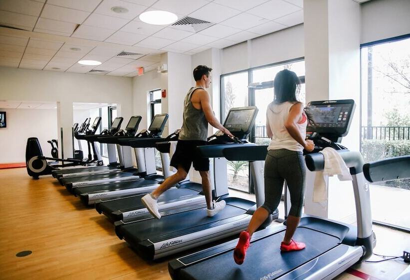 Fotos del hotel Sheraton Orlando Lake Buena Vista Resort Near Disney Springs:  10