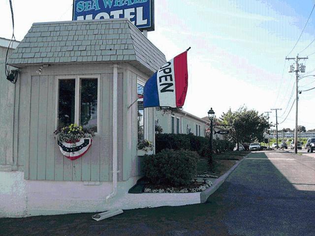 Sea Whale Motel