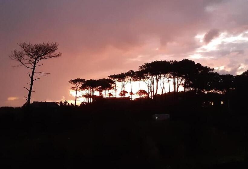 هتل Mandala Beach Chihuahua Naturista Nudista Opcional  Exclusivo Adultos