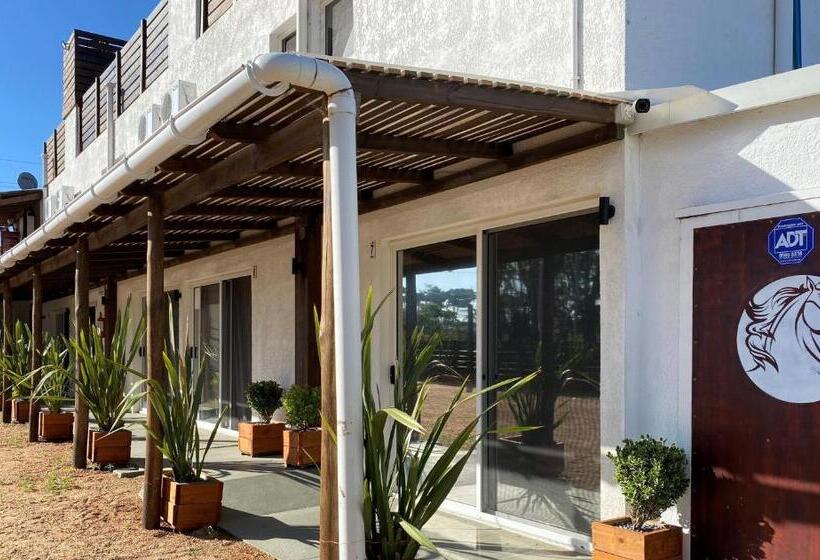 هتل Mandala Beach Chihuahua Naturista Nudista Opcional  Exclusivo Adultos