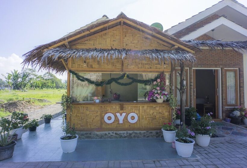 هاستل Sapo Rumbia By Oyo Rooms