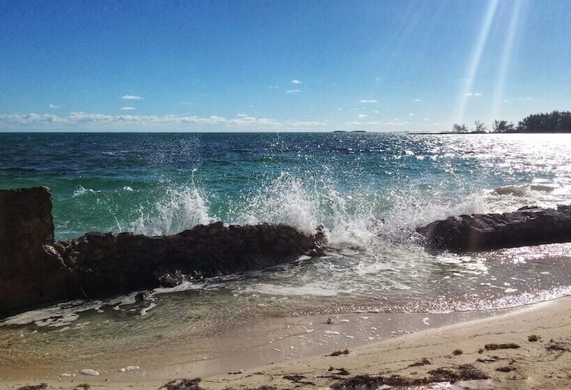 Treasures Of Andros