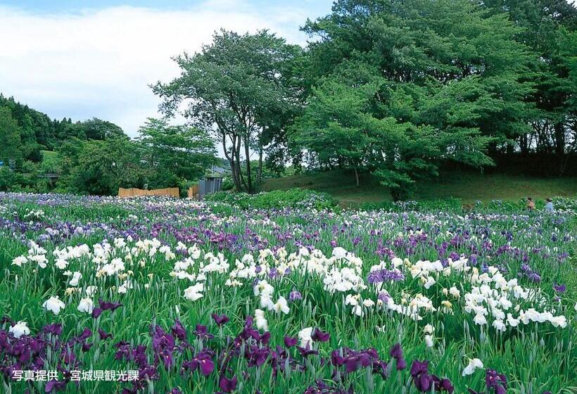 Fotos del hotel Premium Green Plus:  44