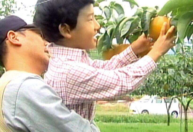 Fotos del hotel Premium Green Plus:  74