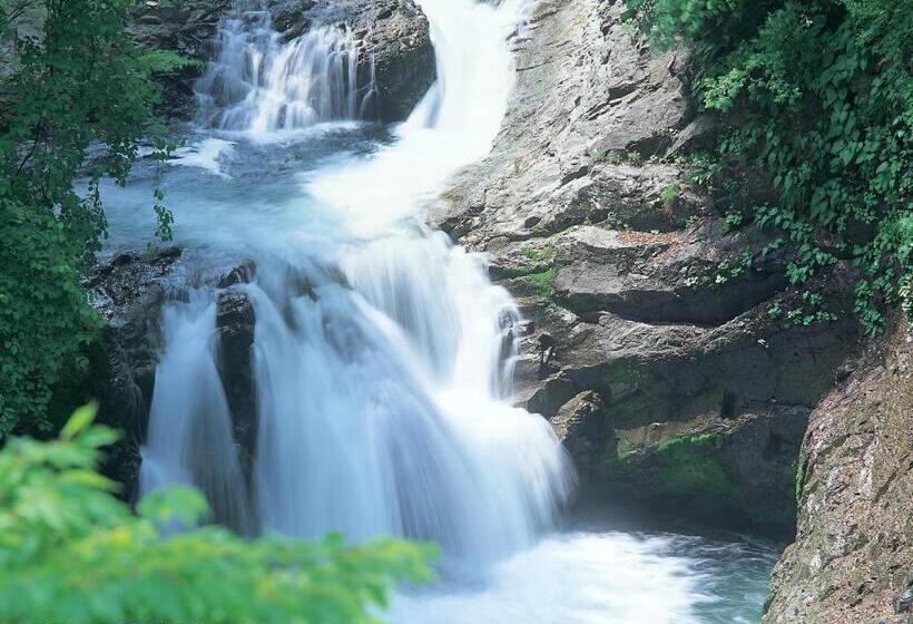 Fotos del hotel Premium Green Plus:  5