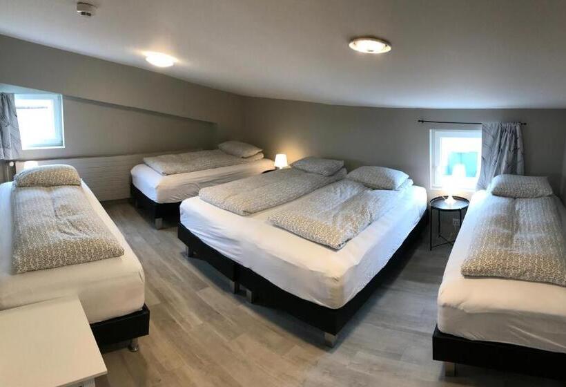 پانسیون Blue Viking Guesthouse