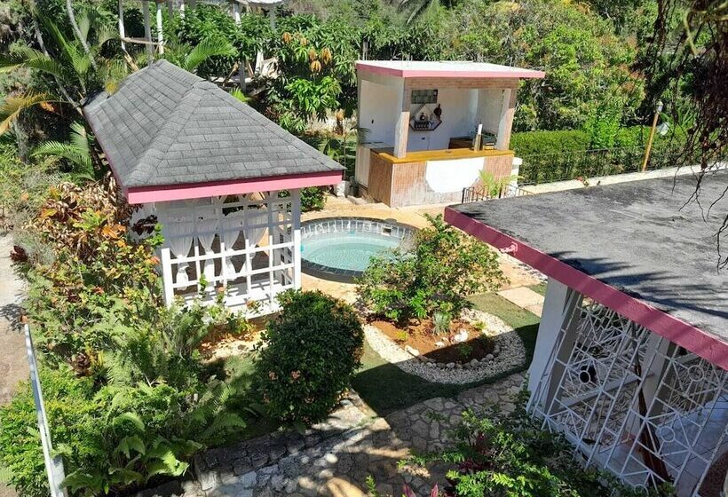 پانسیون Comfort Kingdom Villa Bed & Breakfast