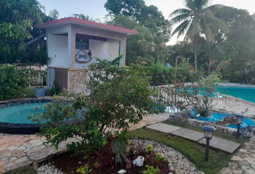 پانسیون Comfort Kingdom Villa Bed & Breakfast