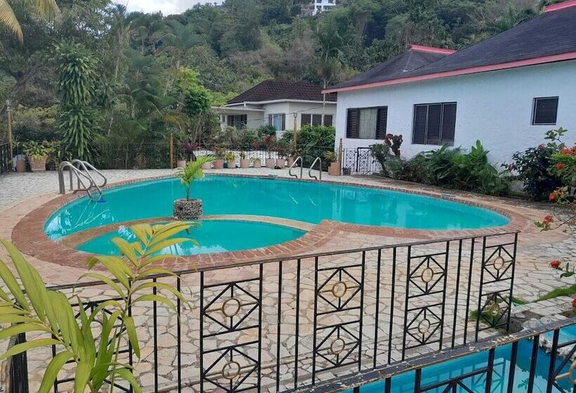 پانسیون Comfort Kingdom Villa Bed & Breakfast