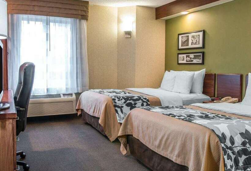 בית מלון כפרי Baymont By Wyndham Flat Rock