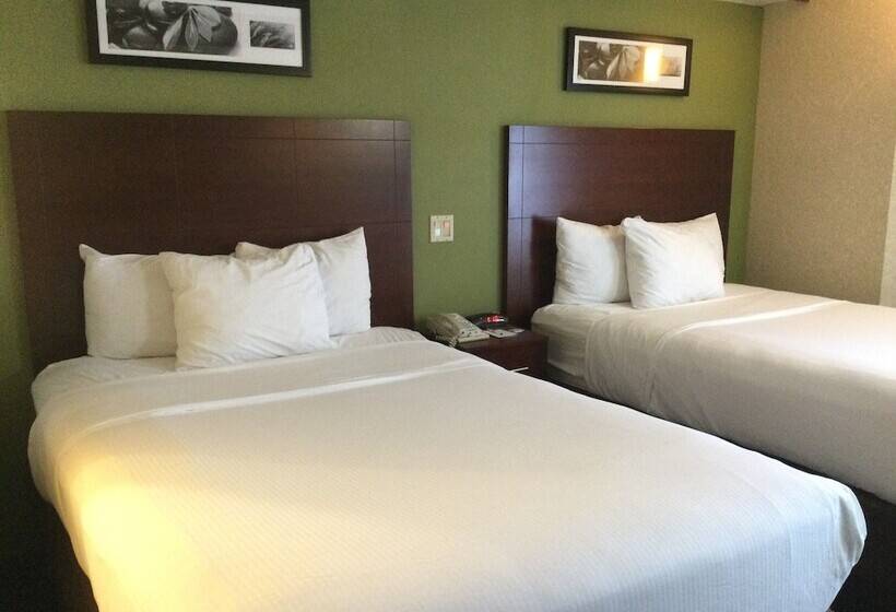 בית מלון כפרי Baymont By Wyndham Flat Rock