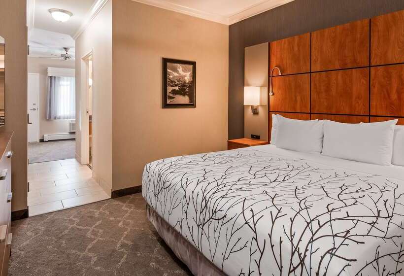 هتل Best Western Plus Silver Saddle Inn
