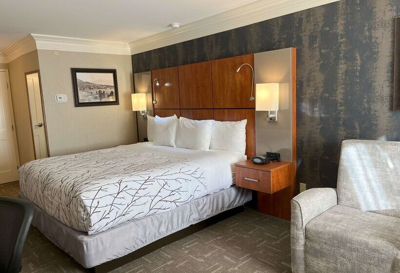 هتل Best Western Plus Silver Saddle Inn