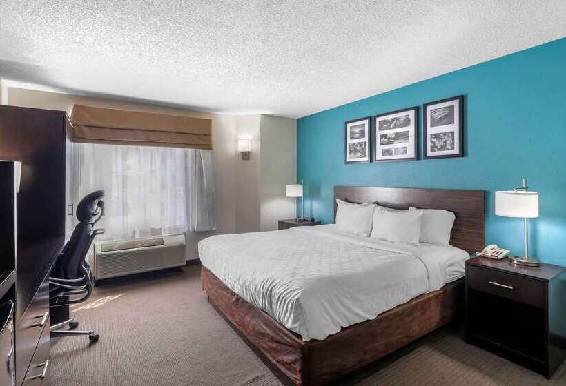 هتل Clarion Inn & Suites Dfw North