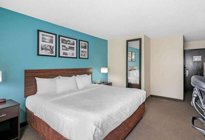 Hotel Clarion Inn & Suites Dfw North