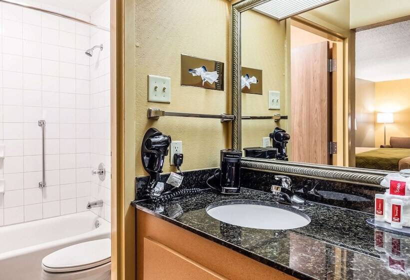هتل Econo Lodge Moss Point  Pascagoula