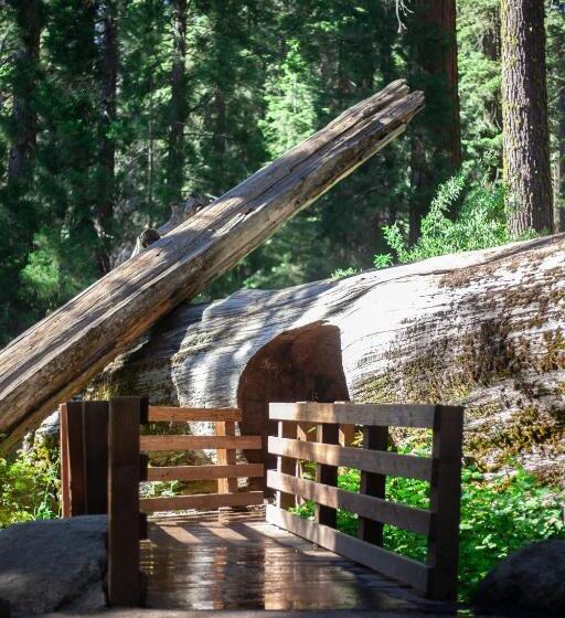 هتل Sierra Lodge Three Rivers