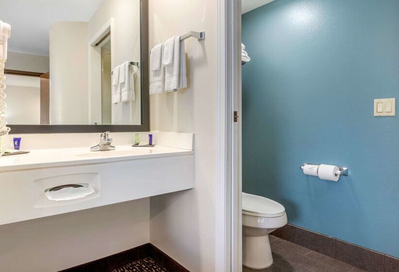 هتل Sleep Inn & Suites