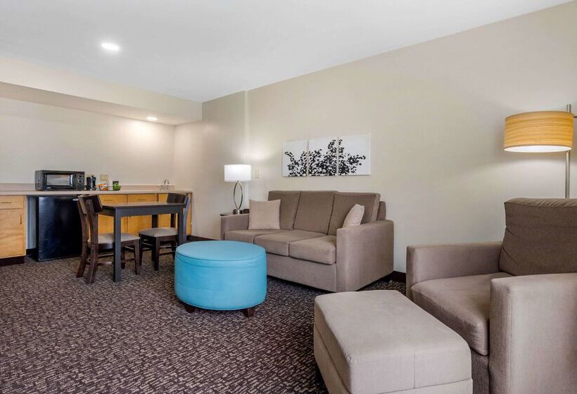 هتل Sleep Inn & Suites