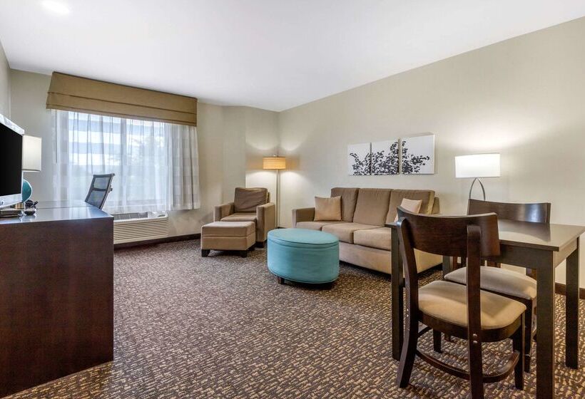 Hotel Sleep Inn And Suites Johnson City