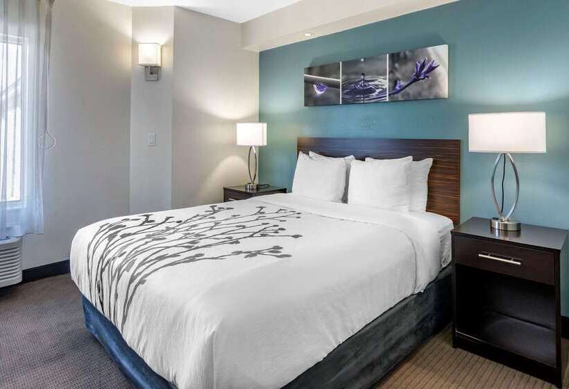 فندق Sleep Inn Clearwaterst Petersburg