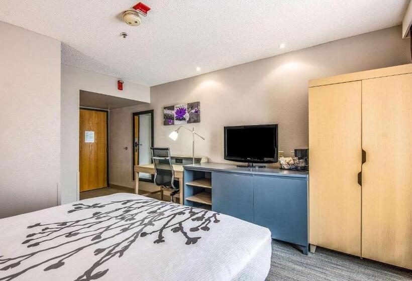 ホテル Sleep Inn Fort Mill Near Carowinds Blvd