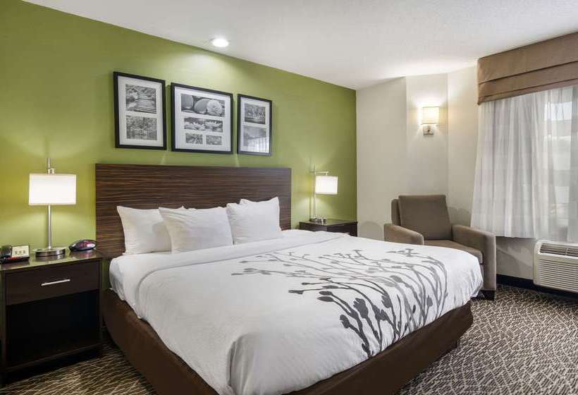 בית מלון כפרי Sleep Inn Hanes Mall