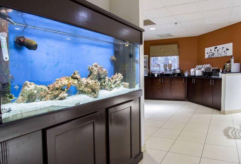 فندق Sleep Inn Ormond Beach   Daytona