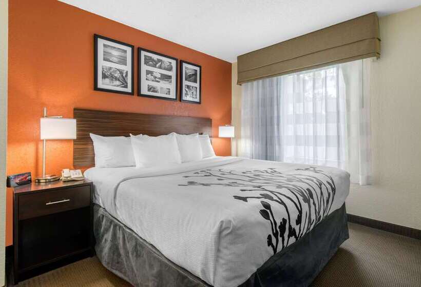 هتل Sleep Inn Sarasota North