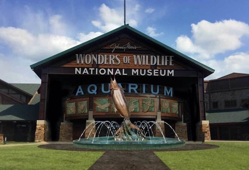 Отель Sleep Inn Springfield South I60 Near Medical District