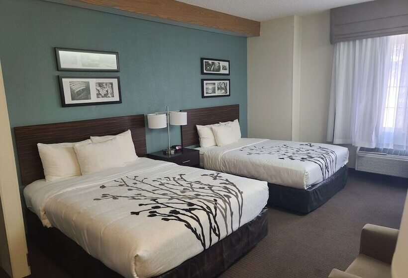 هتل La Vista Inn