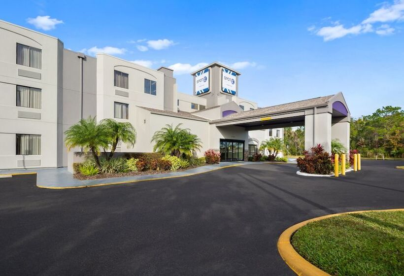 Spot X Hotel Tampa   Wesley Chapel By The Red Collection