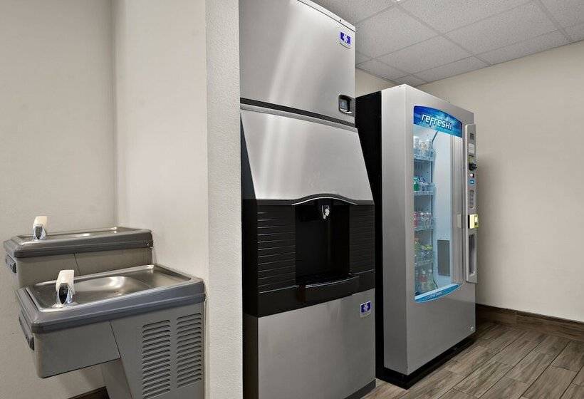 Spot X Hotel Tampa   Wesley Chapel By The Red Collection