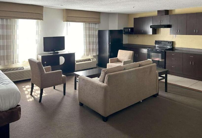 ホテル Sleep Inn Wilson Near I 95