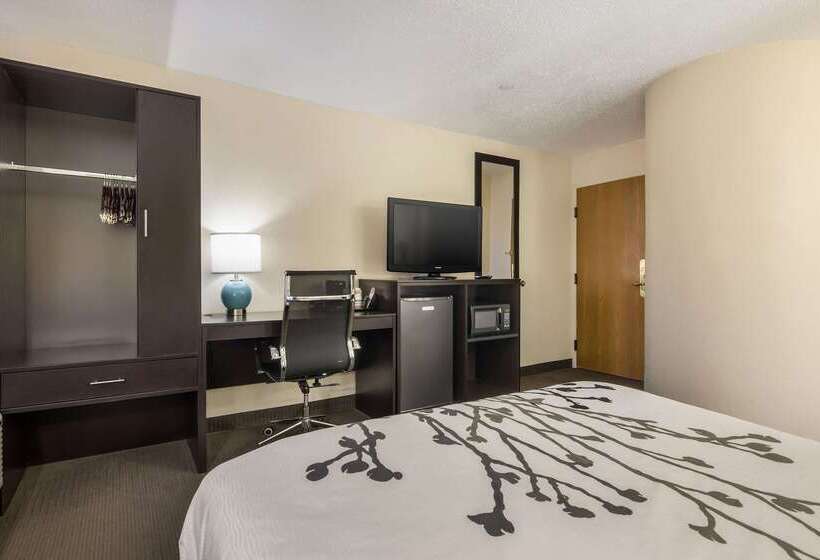 בית מלון כפרי Sleep Inn Wytheville I77 And I81
