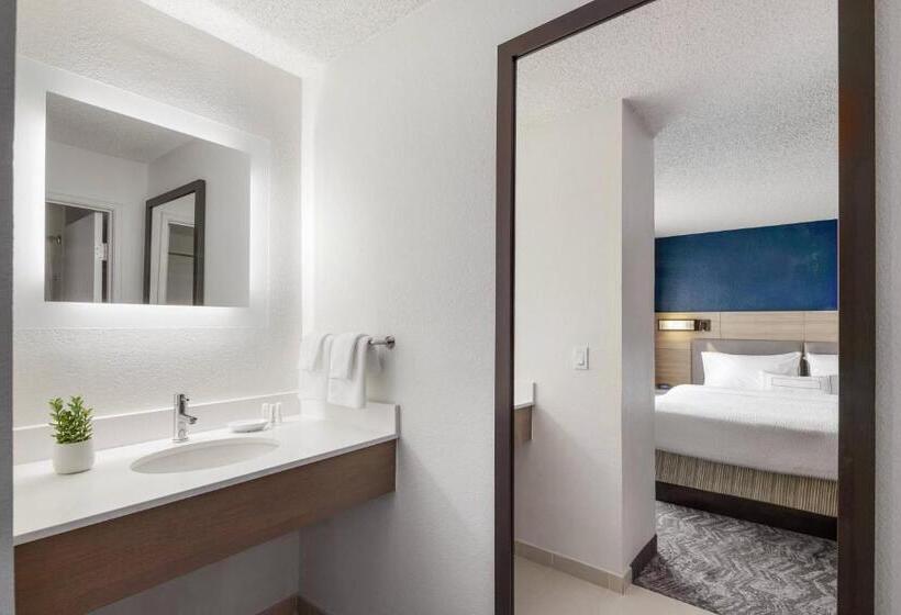 هتل Springhill Suites Tempe At Arizona Mills Mall