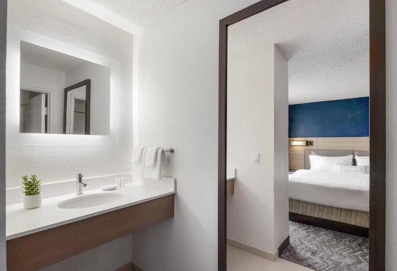 هتل Springhill Suites By Marriott Tempe At Arizona Mills Mall