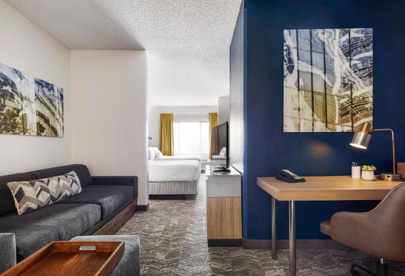 هتل Springhill Suites Tempe At Arizona Mills Mall