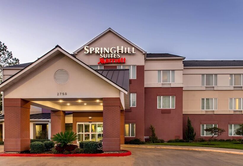 Hotel Springhill Suites Houston Brookhollow