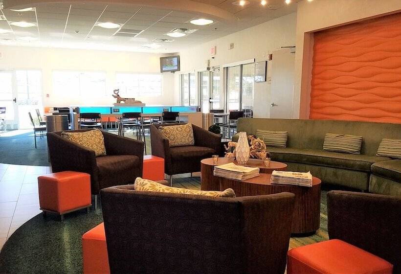 هتل Springhill Suites By Marriott Las Cruces