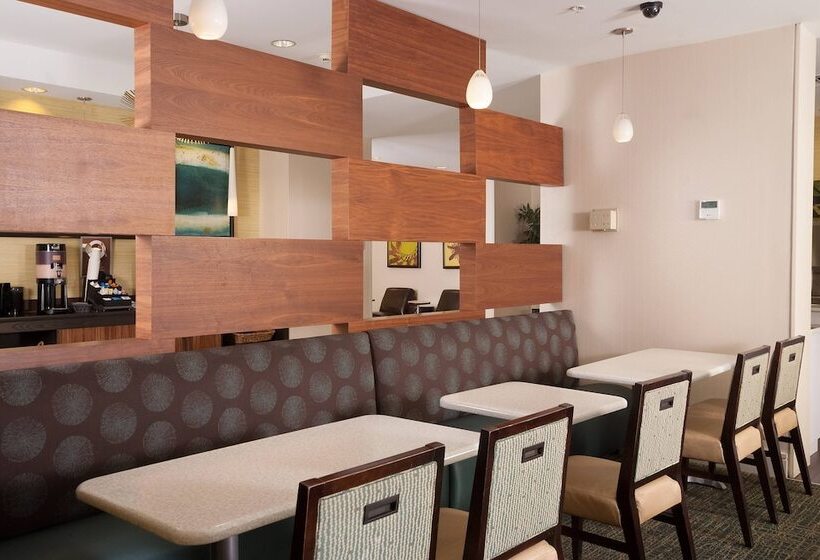 Fotos del hotel Springhill Suites By Marriott Orlando Convention Center:  4