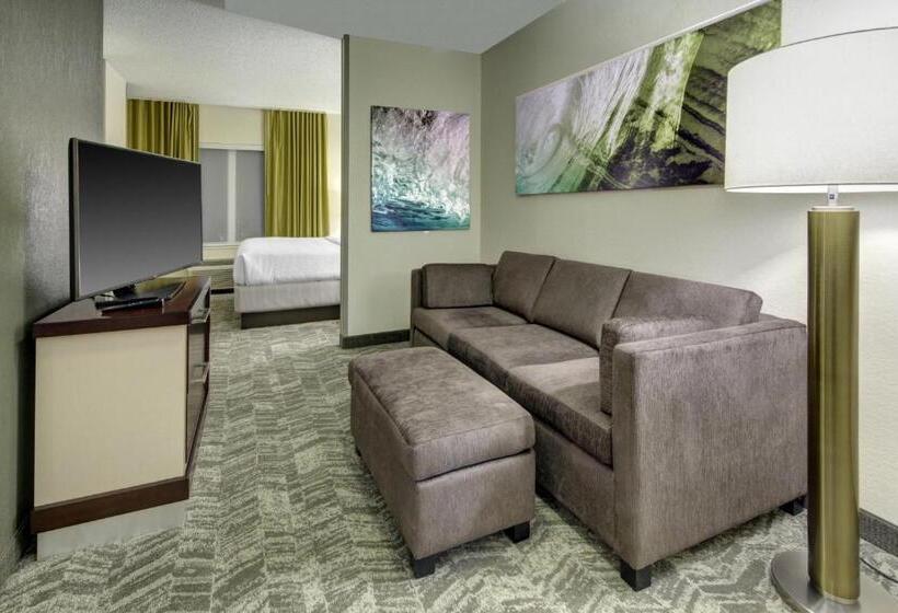 هتل Springhill Suites Port St. Lucie