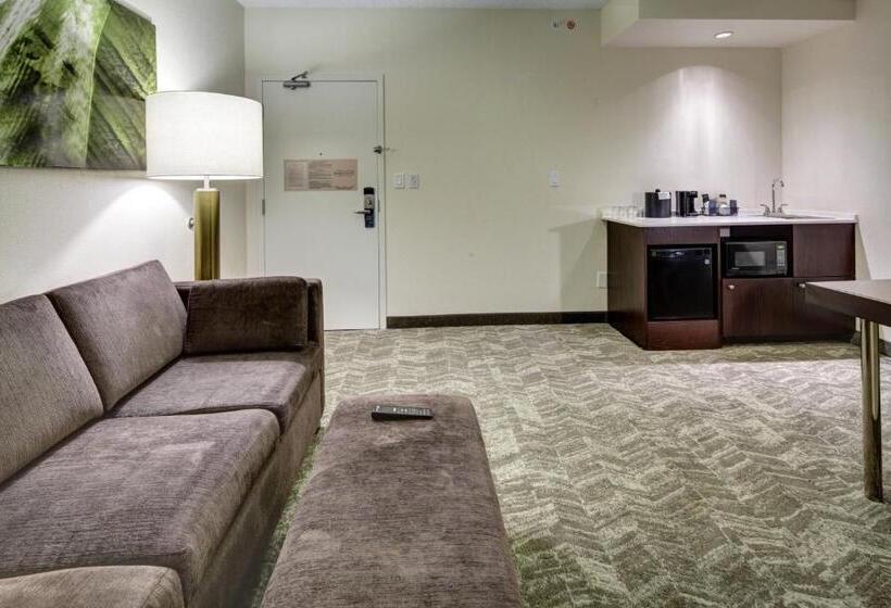 هتل Springhill Suites Port St. Lucie