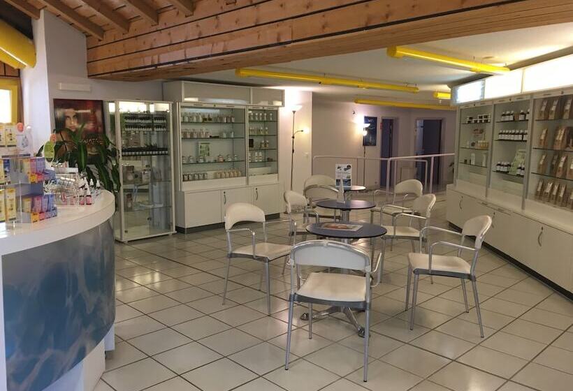 هتل Les Bains D'ovronnaz