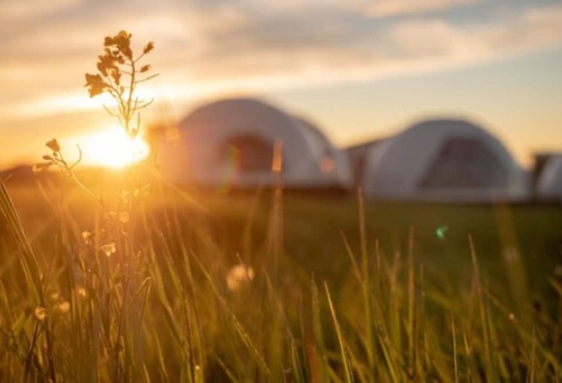 هتل Garden Domes