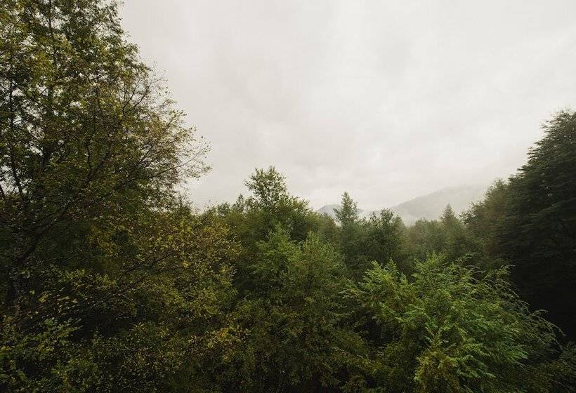 Hotel Huilo Huilo Reino Fungi