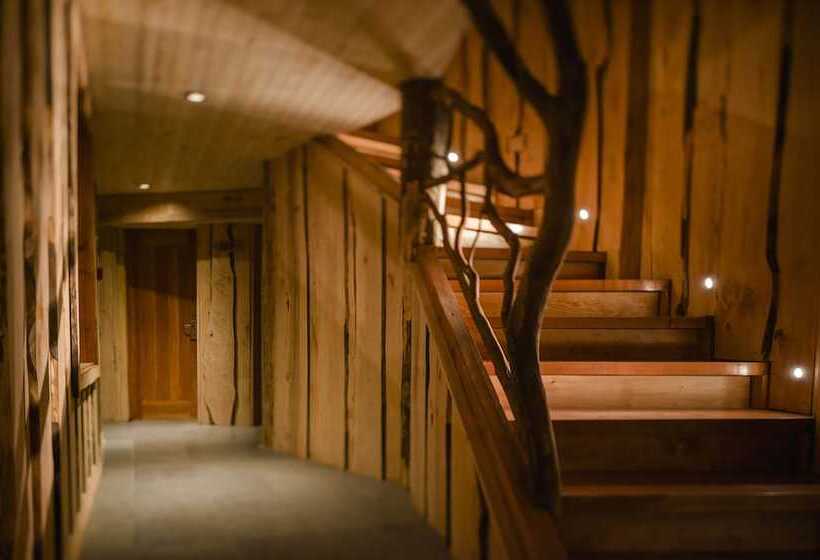 Hotel Huilo Huilo Reino Fungi