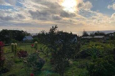 هتل Teanehi Bed & Breakfast