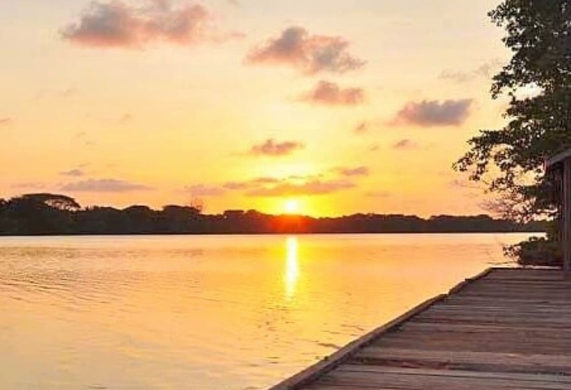 Shores Plantation