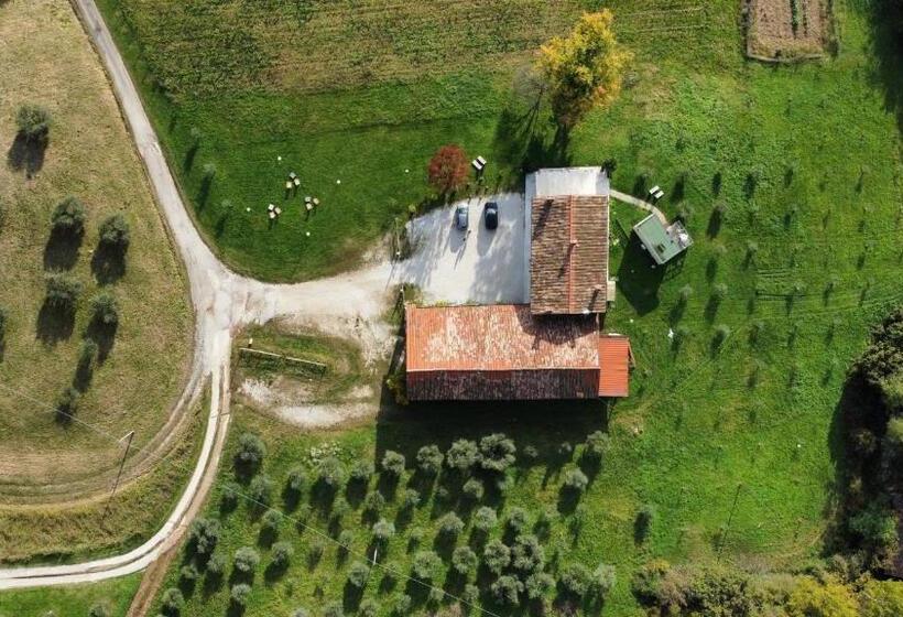 پانسیون Agriturismo Vecio Portico